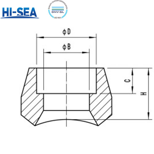 Socket Welded Branch Seat-PIC.jpg